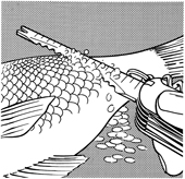 odšupinovač rýb
